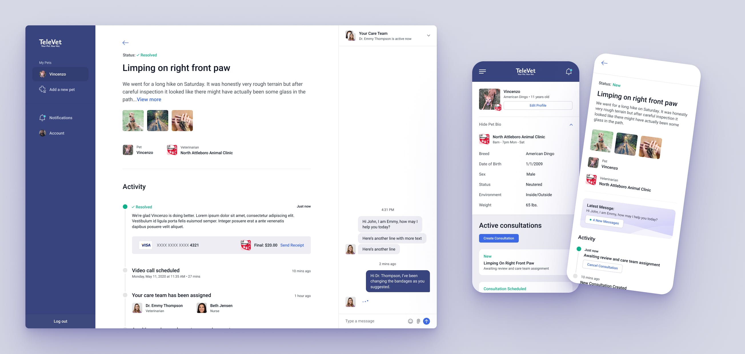 Mobile and desktop interfaces for teleVet app.